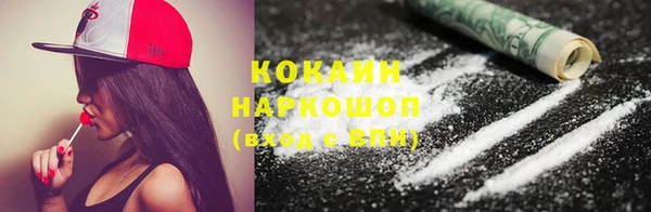spice Краснослободск