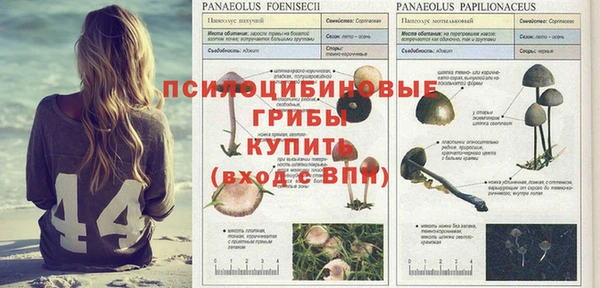 мдпв Костерёво