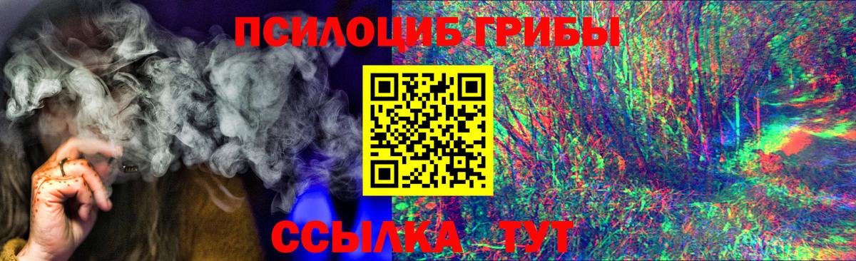 Сосновый Бор  Псилоцибиновые грибы Psilocybe  Вход с VPN 